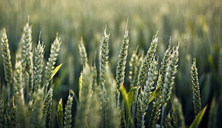 稳定的自助渠道推荐的DDOS平台