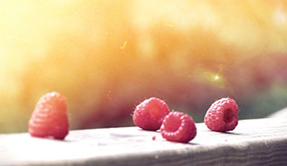 网页DDOS攻击平台